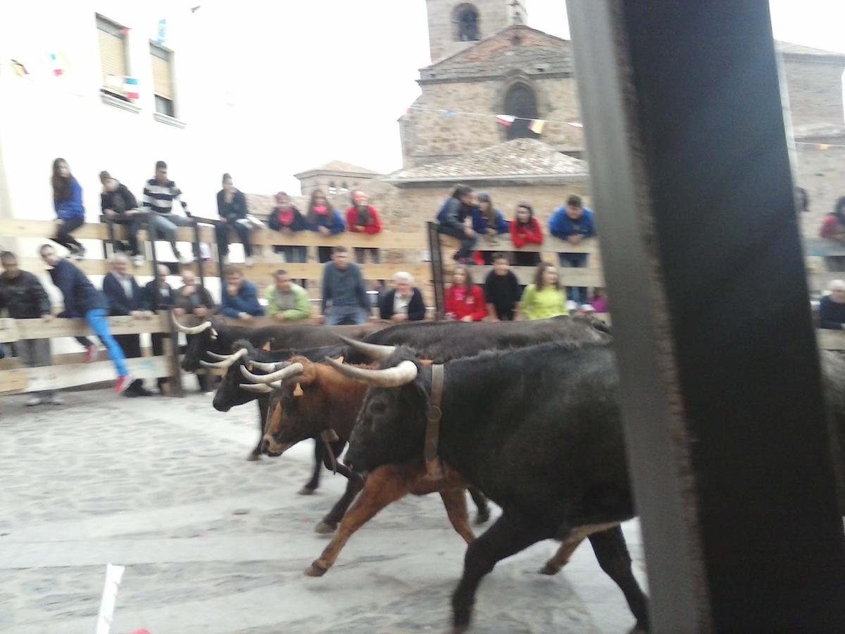 Los Sestiles Garray Kültér fotó